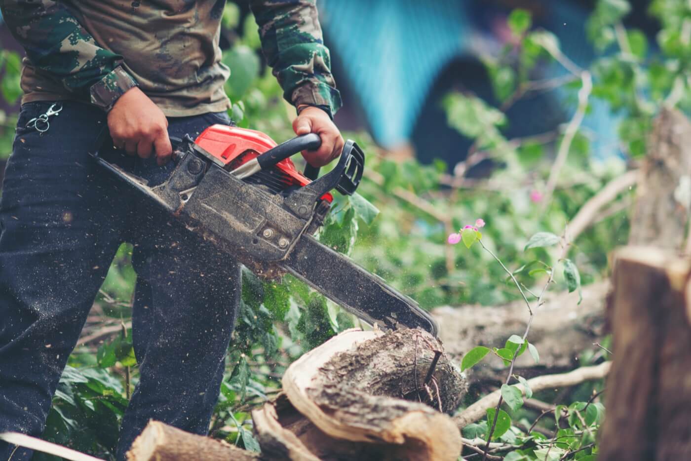 tree cutting fp