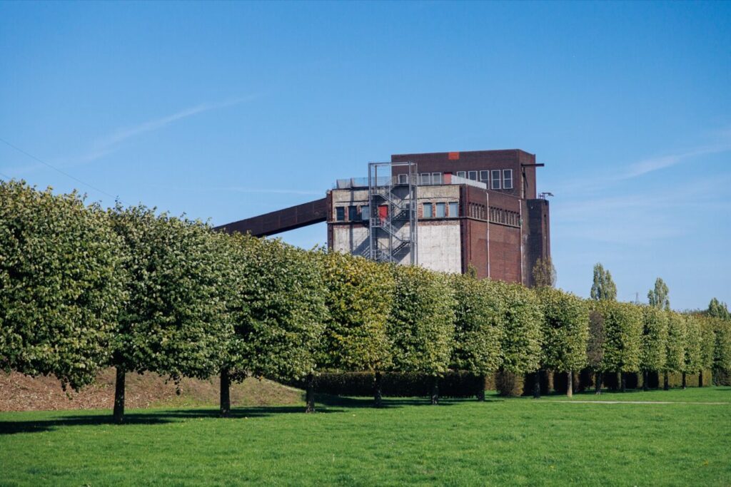 factory tree services walsall wolverhampton
