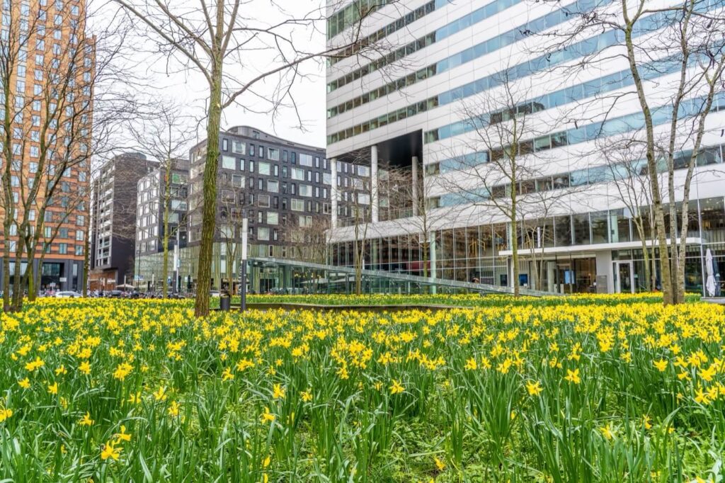 hospital tree services walsall wolverhampton