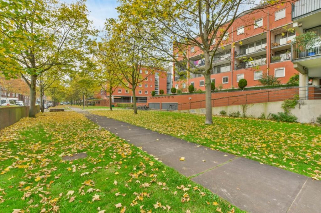 tree services for schools walsall west midlands