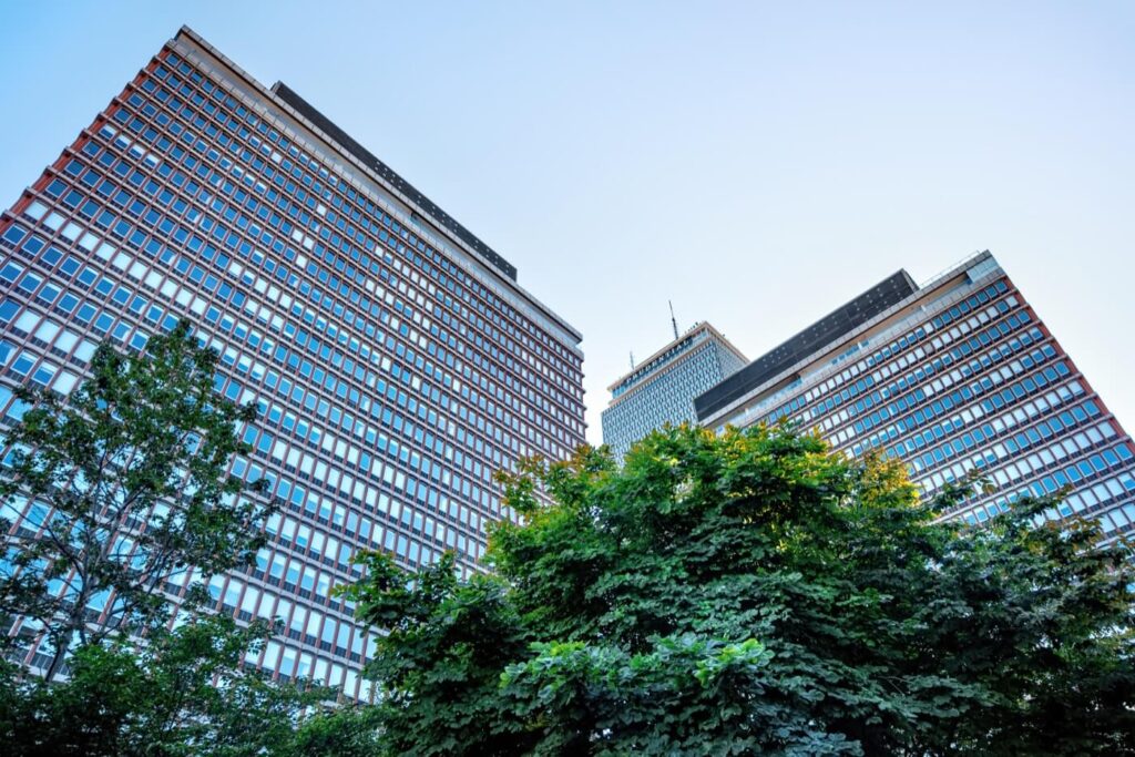 tree services offices west midlands