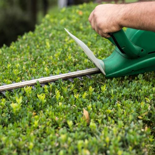 hedge trimming fb5