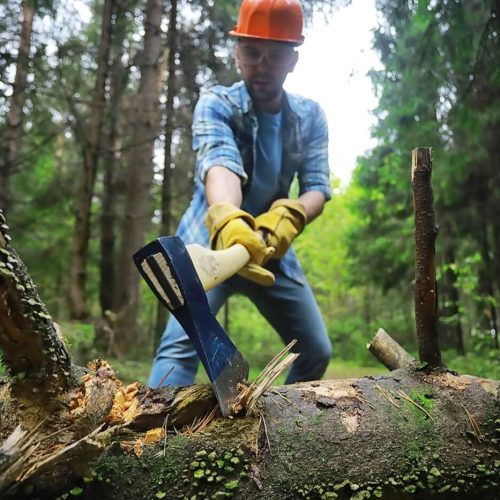 tree cutting fp19